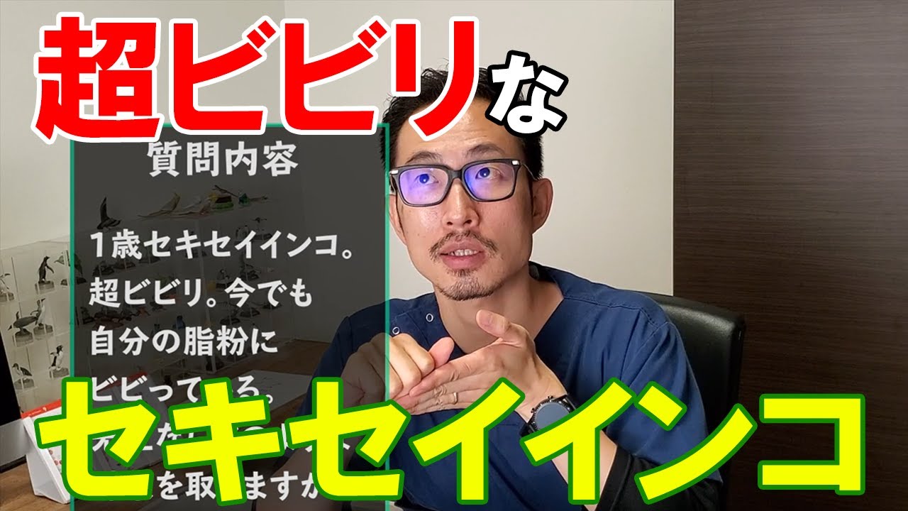 【質問コーナー】獣医師がペットの質問にまた答えます！④
