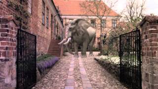 Elephant Breakdown
