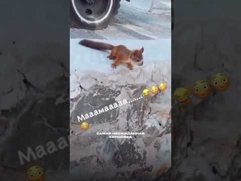 21 сентября 2023 г.