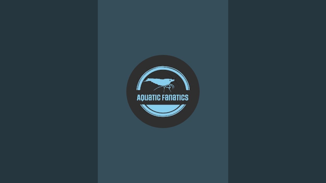 Aquatic Fanatics: The wolf of Walstad is live