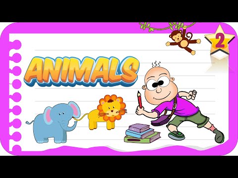 2. Sınıf Animals | Birlikte Öğrenelim #İngilizce