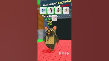 NEW BRAINROTS TIME in Steal a Brainrot Roblox Update (No Script): Noob to Pro Guide #stealabrainrot