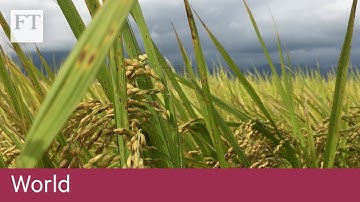 Blockchain helps Taiwan