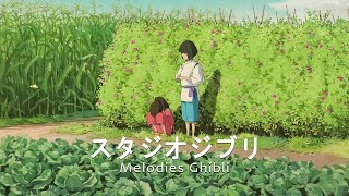 The Best Songs of Studio Ghibli 🍀 Collection of Emotional and Relaxing Cartoon Music #live47