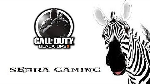 Black Ops 2|CTF Mod Fun