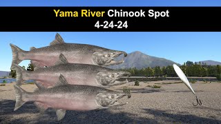 Russian Fishing 4, Yama River Chinook Spot 4-24-24