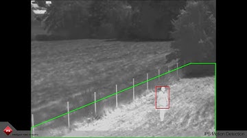 IPS Motion Detection
