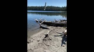 Rainbow trout fishing with Sean Lowe at Twin Lakes 10/2020 3