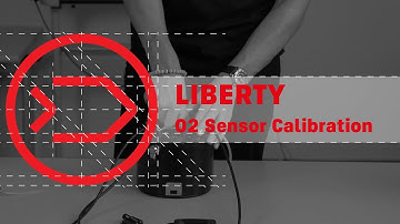 Divesoft | Liberty - O2 Sensor Calibration