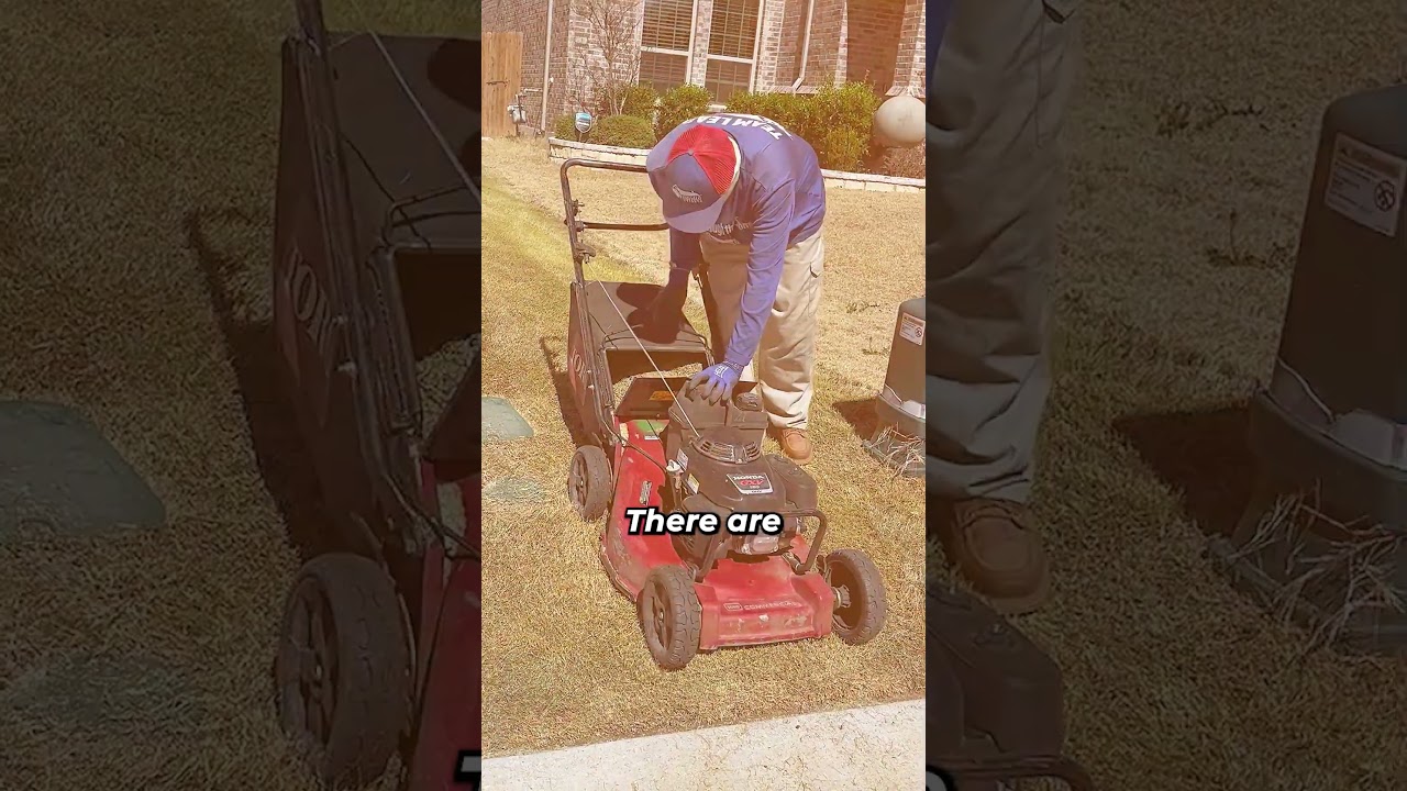 Bagging Grass Is a HUGE Mistake ❌