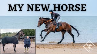 MY NEW HORSE | Meet Knightly | I finally own a horse | OTTB