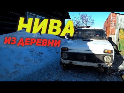 Колхоз нива сюмсинский район