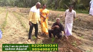 Thiruvaiyaru 3 Coconut Tree Plantation Method at Erode #coconutDr.V.S.Selvam