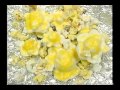 Chance PopCorn Nickelodeon Commercial 4yrs Old Mp4 Chance PopCorn Nickelodeon Commercial 4yrs Old Mp4