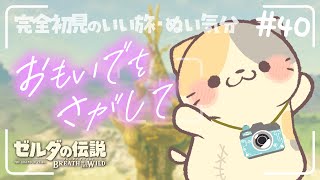 【ブレワイ】キミの耳と鼻の形が愛おしい #40🍣いい旅・ぬい気分【ゼルダの伝説BotW/むぅたま VTuber】