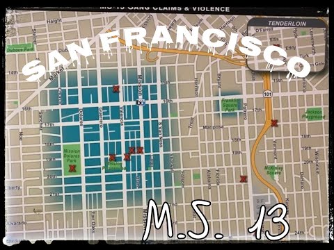 M.S. 13 SAN