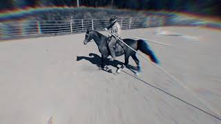 Garrocha Practice With Arabian Mare.