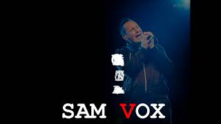 COVER LIV ACOUSTIQUE SAM VOX "TOUS LES DEUX" @Patrick Bruel @Boulevard des Airs BDA