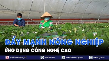 Đẩy mạnh nông nghiệp ứng dụng công nghệ cao - VNews