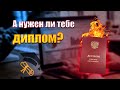 Высшее образование в России