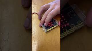 Microbit Pet 2
