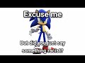 Did you just say something racist? (Sonic)