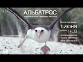 Тизер фильма «Альбатрос». Русскоязычная премьера в Петропавловске-Камчатском