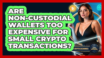Are Non-custodial Wallets Too Expensive For Small Crypto Transactions? - All About Crypto Exchanges