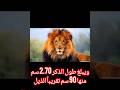 معلومات يجب معرفتها عن الأسد طول ذكر الأسد معلومات يجب معرفتها عن الأسد طول ذكر الأسد