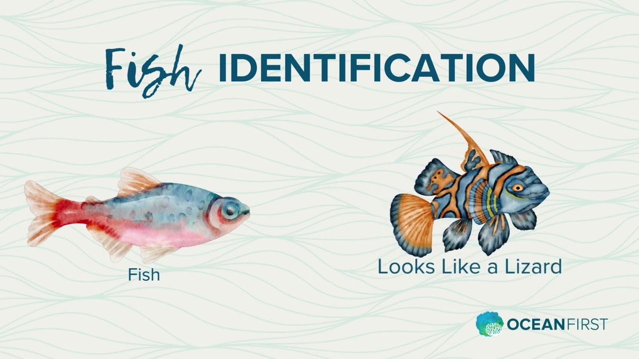 Fish ID, Lizard Fish?