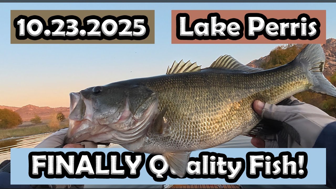 Lake perris bass fishing: fall turnover. 6 total. #zmanfishingproducts #lakeperris #bassfishing