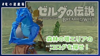 #7【ゼルダの伝説・breath of wild】森林の塔エリアのコログを探せ！【竜の遊技場】