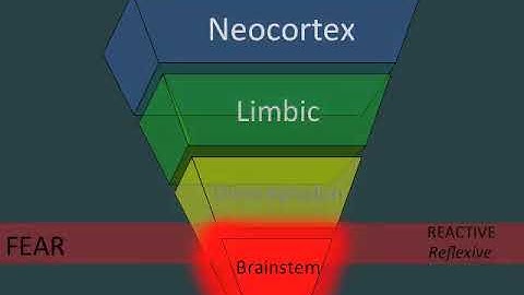 SevenSlideSeries: State-dependent Functioning [with CC]