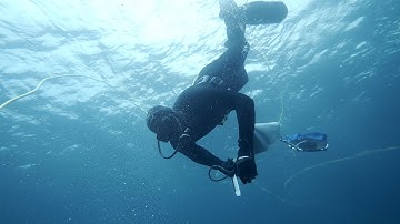 Asahi Above All Else: Gyula Plaganyi