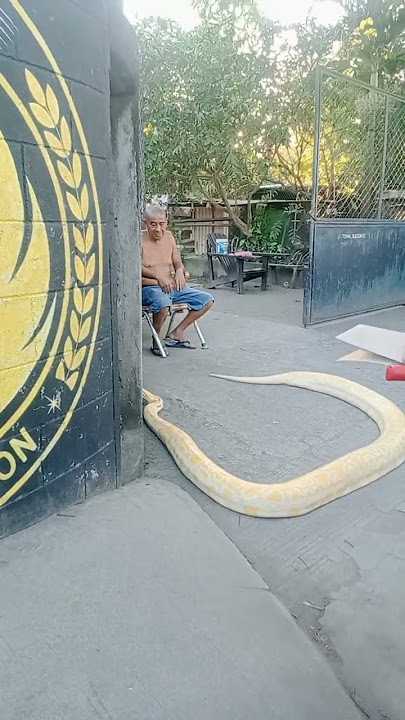 kadako sa bitin😯😲