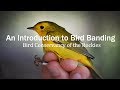 Introduction to Bird Banding