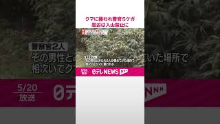 【クマに襲われ】警察官2人ケガ  現場周辺は入山禁止に  秋田・鹿角市  #shorts
