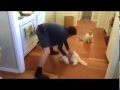 السيدة عجبها الحال ههه السيدة عجبها الحال ههه