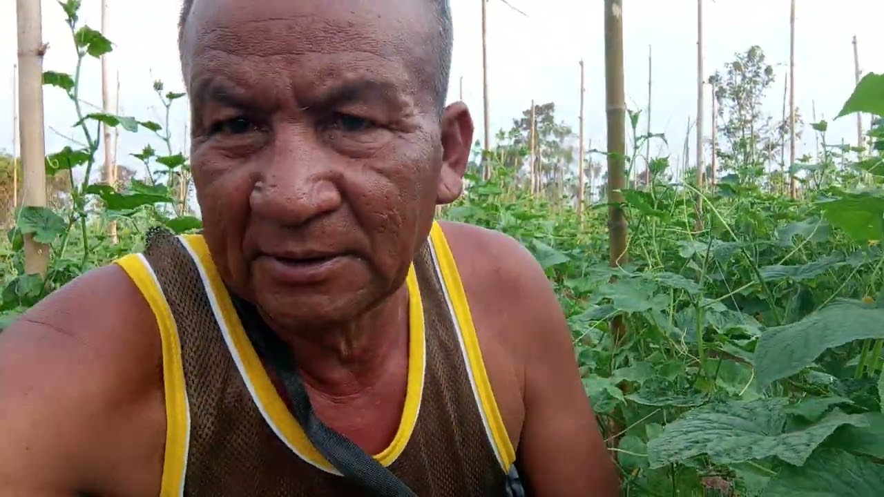 26 กุมภาพันธ์ ค.ศ. 2026