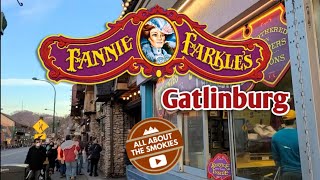 Fannie Farkles Famous Ogledog - Gatlinburg Tn