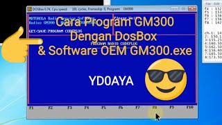 Cara program rig Motorola GM300 dengan Dosbox & software OEM GM300.exe | dari error hingga sukses screenshot 3