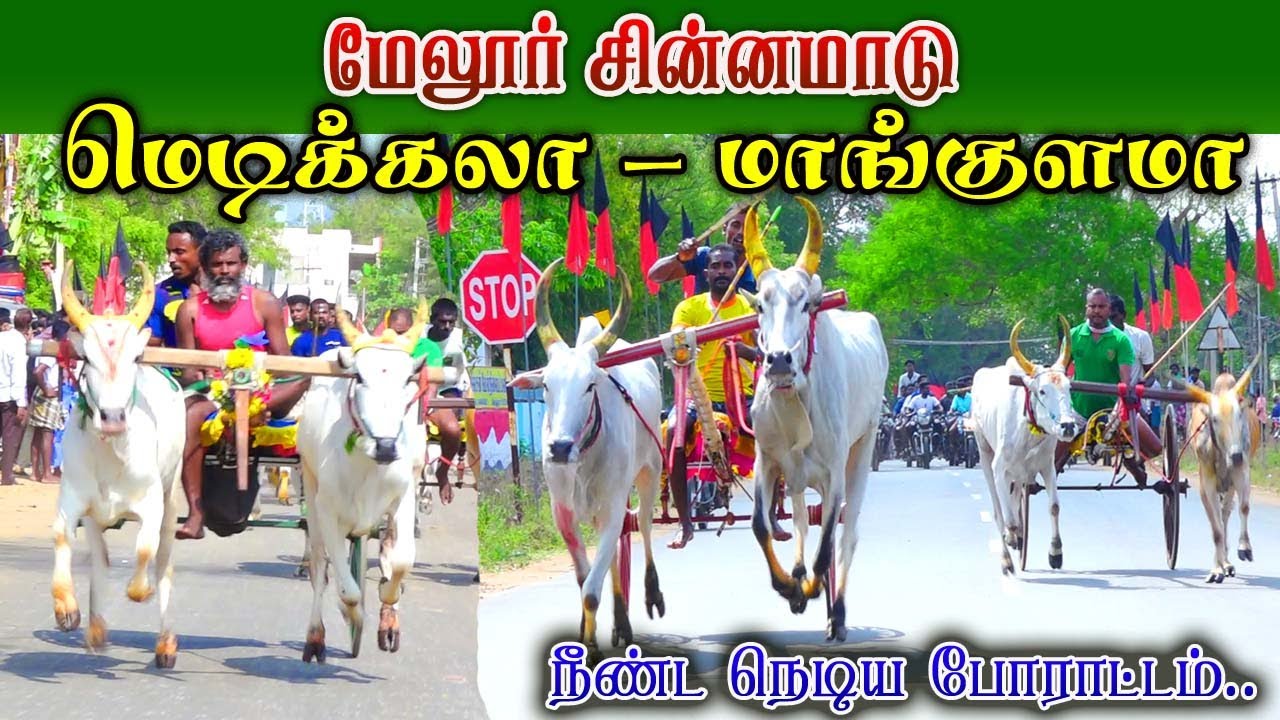 2-சின்னமாடு - மேலூர் பந்தயம் 26.03.2023