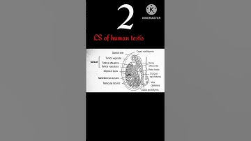 #studytube #studygram #study #studymotivation #studywithme #gcses #books #revision #studynotes