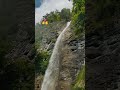 Nature at its Finest 🍃🇨🇭#lungern #dundelbachfall #swissalps #most #beautiful #waterfall