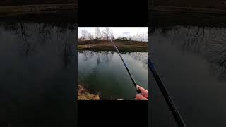 Fishing a Huge Rainbow Trout