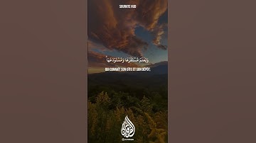 Sourate Hud سورة هود, par Al Sheikh Maher Bin Hamad Al Muaiqly