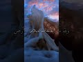 واتس اب قران كريم القارئ ياسر دوسري سوره النور 