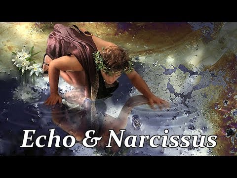 Video: NARCISSUS HEBAT