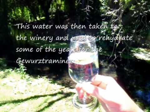 The Darling Gewurztraminer - Spring water to great...