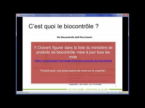 Vidéo: Pourquoi le monde a-t-il besoin de punaises d'eau ? Punaise d'eau prédatrice: description, photo